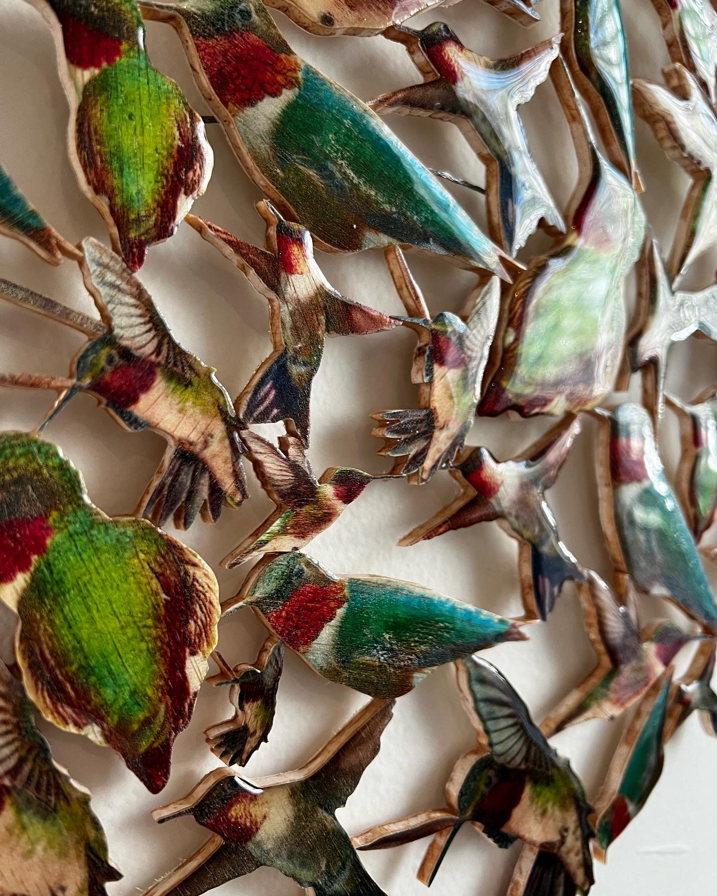 9F70C13C-FF3B-4B0D-BFE7-0B927B614B0C